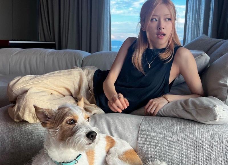 女生在婚姻中的纵容,是对自己的伤害 女生在婚姻中的纵容,是对自己的伤害