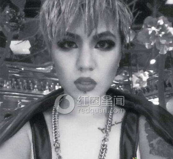 杨美娜选了谁 杨美娜中国新歌声