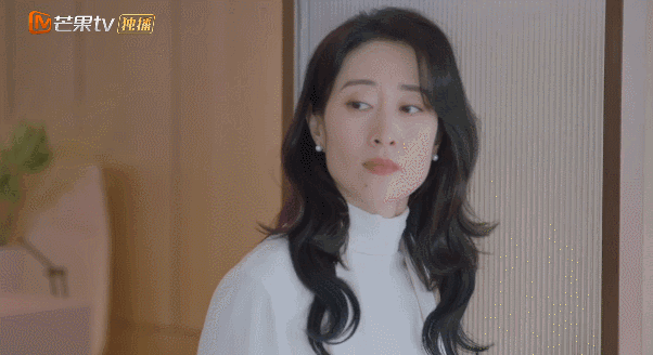 曾黎主演的电视剧（淑女的品格演员表和剧情介绍）-