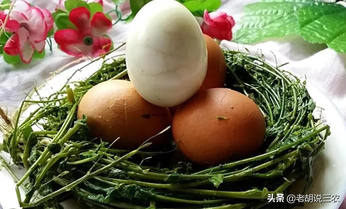 农历三月三荠菜煮鸡蛋是什么意思（三月三为什么要煮鸡蛋吃）(图3)