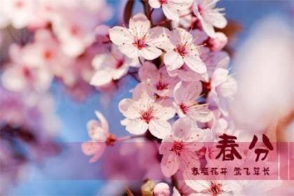 代购第一条朋友圈模板