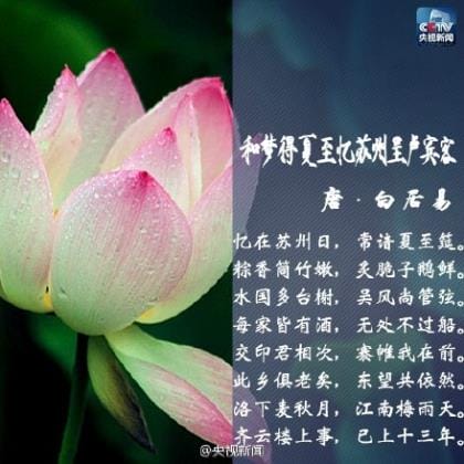 宝宝周岁生日说说