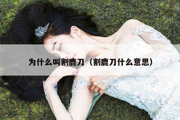 为什么叫割鹿刀(割鹿刀什么意思) 为什么叫割鹿刀(割鹿刀什么意思)