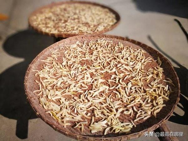 湖南萝卜干怎么腌的好吃(湖南辣椒萝卜干) 湖南萝卜干怎么腌的好吃(湖南辣椒萝卜干)