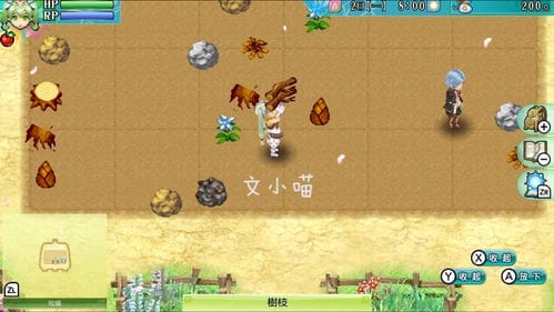 海边泡妞游戏攻略(海边泡妞游戏攻略大全)