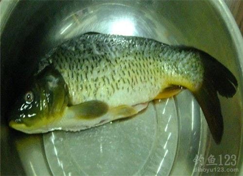 孜然烤鲤鱼的做法大全家常窍门(好吃味美做法简单烤鲤鱼) 孜然烤鲤鱼的做法大全家常窍门(好吃味美做法简单烤鲤鱼)