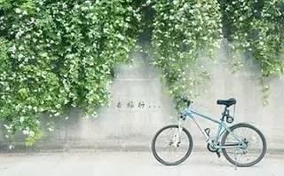 武汉大学信息部附近美食(别人家的学校--江南大学美食地图) 武汉大学信息部附近美食(别人家的学校--江南大学美食地图)