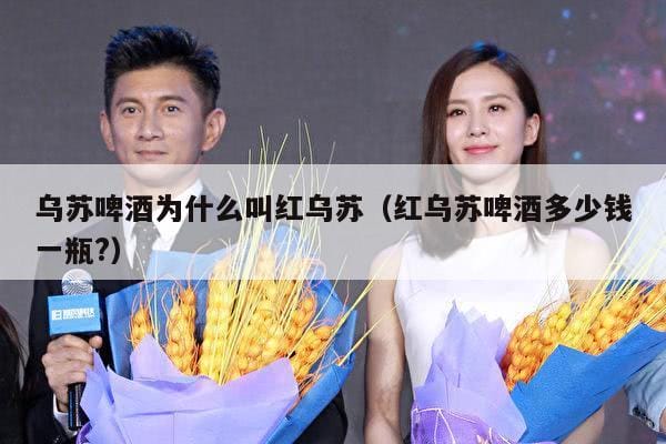 乌苏啤酒为什么叫红乌苏(红乌苏啤酒多少钱一瓶?) 乌苏啤酒为什么叫红乌苏(红乌苏啤酒多少钱一瓶?)