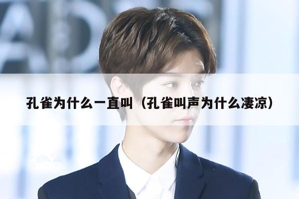 孔雀为什么一直叫(孔雀叫声为什么凄凉) 孔雀为什么一直叫(孔雀叫声为什么凄凉)