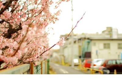 春节祝福微信朋友圈词
