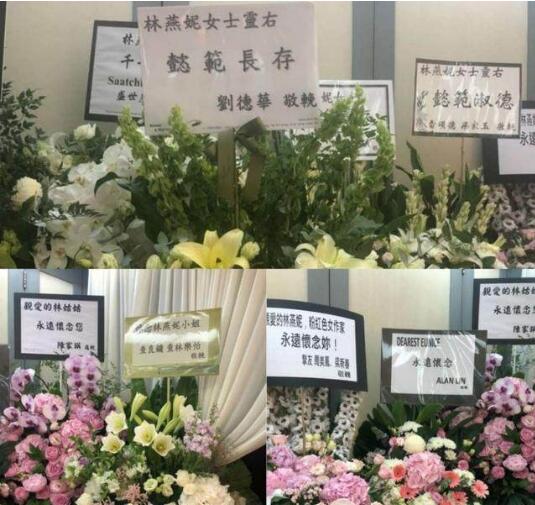 香港第一美女林燕妮年轻时照片 香港第一美女林燕妮年轻时照片