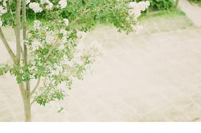 描写友谊的句子100字