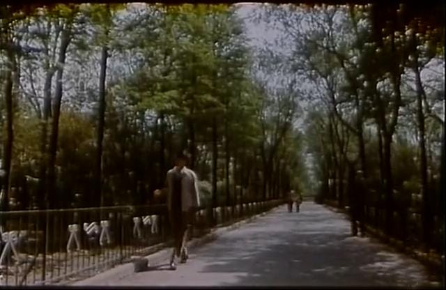 上海80年代电影票价格(电影中的上海在哪里) 上海80年代电影票价格(电影中的上海在哪里)