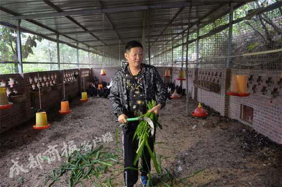 赵亮为什么养鸡?三德子赵亮在哪养公鸡 赵亮为什么养鸡?三德子赵亮在哪养公鸡