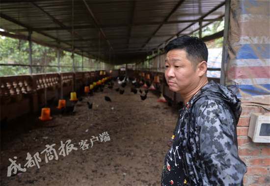 赵亮为什么养鸡?三德子赵亮在哪养公鸡 赵亮为什么养鸡?三德子赵亮在哪养公鸡