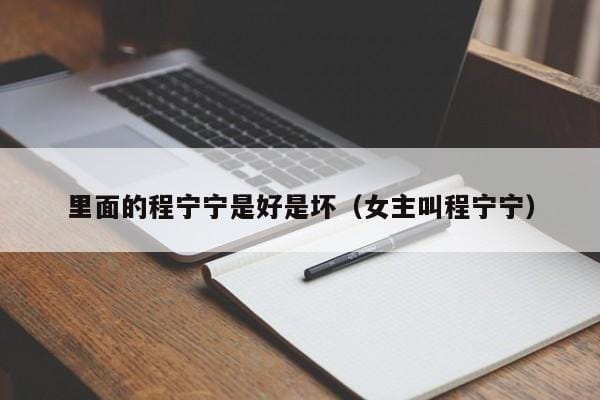 里面的程宁宁是好是坏(女主叫程宁宁) 里面的程宁宁是好是坏(女主叫程宁宁)