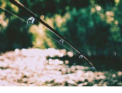 关于珍视友谊的名言