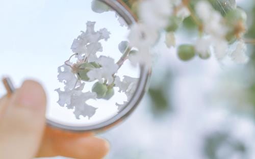 心情不美丽简短的句子