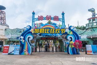 度假游戏乐园攻略(度假村游乐场)