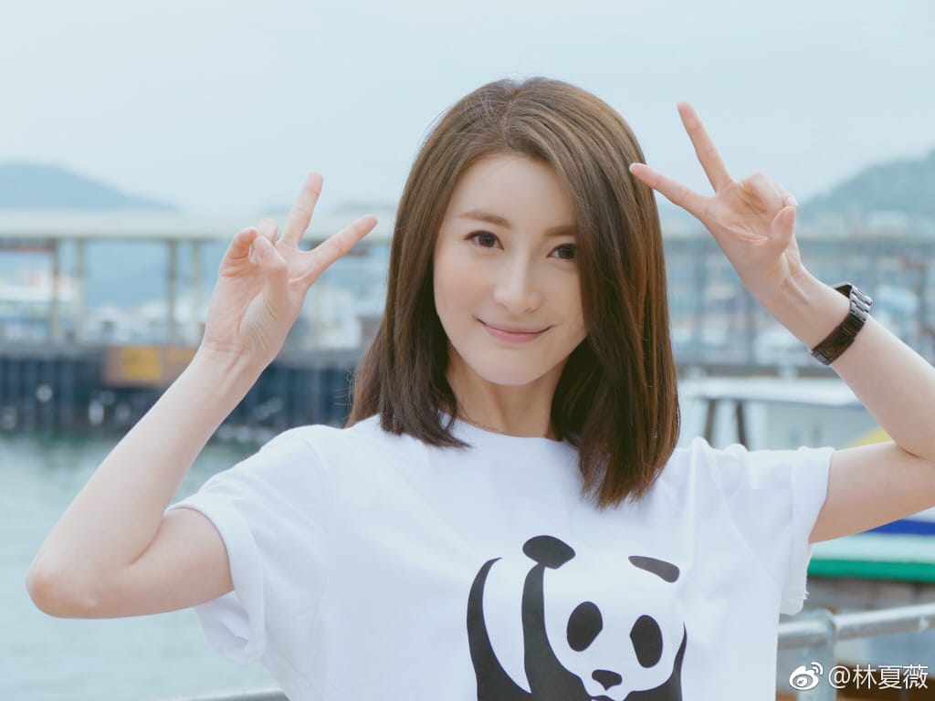 林夏薇老公莫赞生身价多少,俩人是怎么认识的？　本文共（966字）