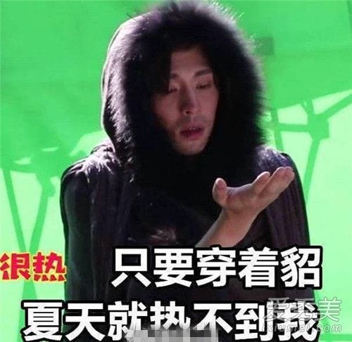 旭凤天团是什么梗?貂哥又是谁? 旭凤天团是什么梗?貂哥又是谁?