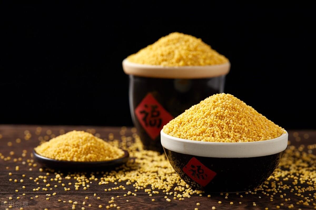 中国最好吃的小米排名（全国最好吃的小米排行）(图1)