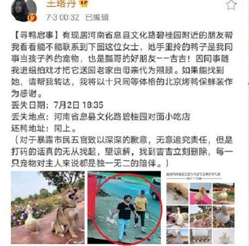 王珞丹发寻鸭启事登热搜是怎么回事(警方回应王珞丹寻鸭启事) 王珞丹发寻鸭启事登热搜是怎么回事(警方回应王珞丹寻鸭启事)