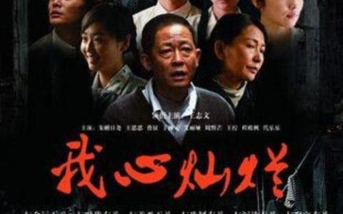 王志文主演电视剧(王志文主演电视剧王道) 王志文主演电视剧(王志文主演电视剧王道)