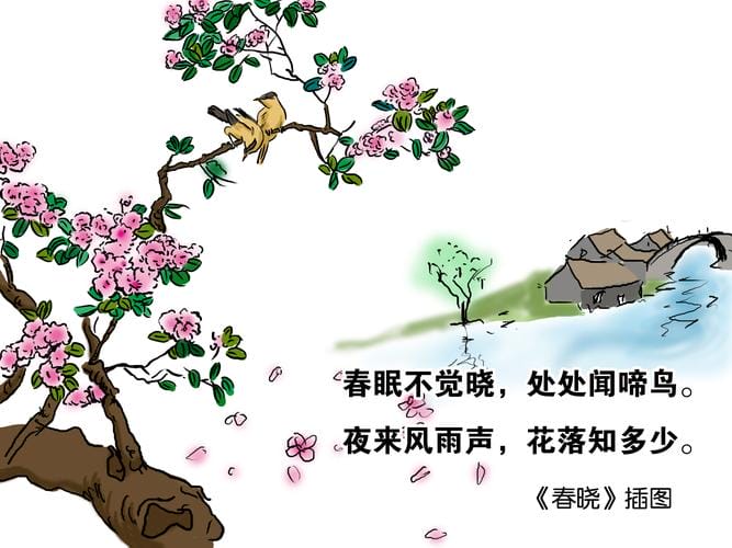 常春晓年龄，宋雯雯(常晓娟图片)