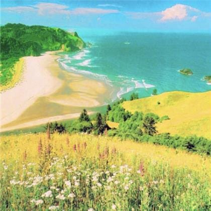 表示很委屈的句子