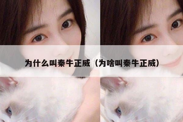 为什么叫秦牛正威(为啥叫秦牛正威) 为什么叫秦牛正威(为啥叫秦牛正威)