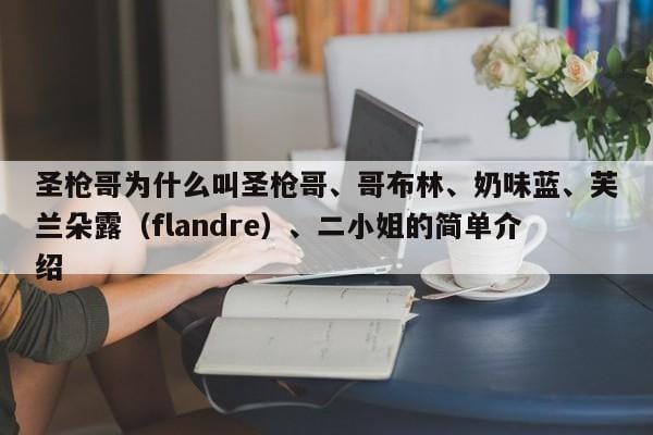 圣枪哥为什么叫圣枪哥、哥布林、奶味蓝、芙兰朵露(flandre)、二小姐的简单介绍 圣枪哥为什么叫圣枪哥、哥布林、奶味蓝、芙兰朵露(flandre)、二小姐的简单介绍