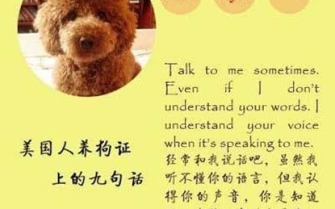 宠物寄语(宠物寄语搞笑) 宠物寄语(宠物寄语搞笑)