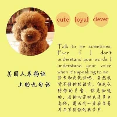 宠物寄语(宠物寄语搞笑) 宠物寄语(宠物寄语搞笑)