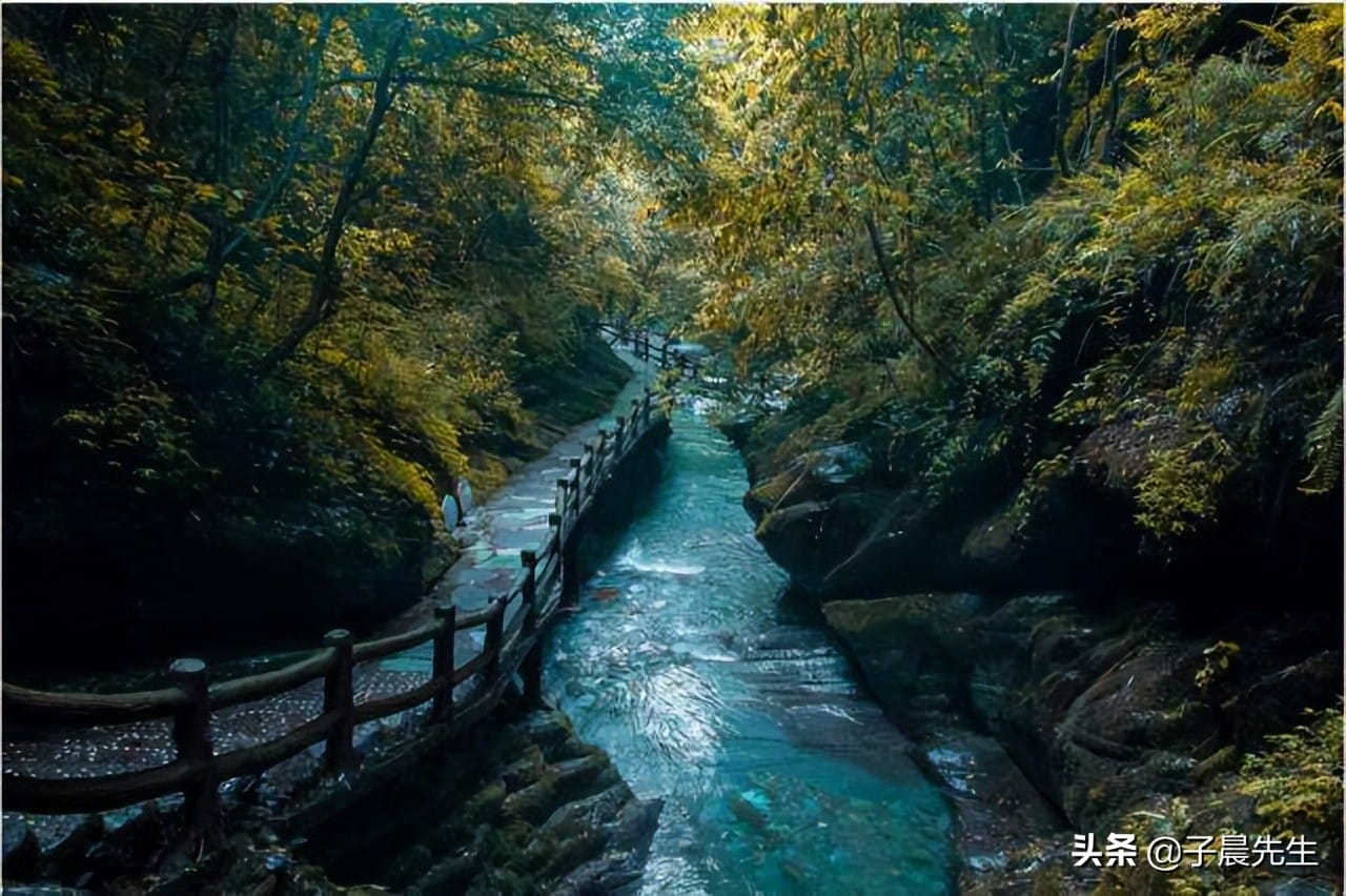 贵州有什么好玩的地方景点推荐去贵州旅游多少钱（贵州有什么好玩的）(图12)