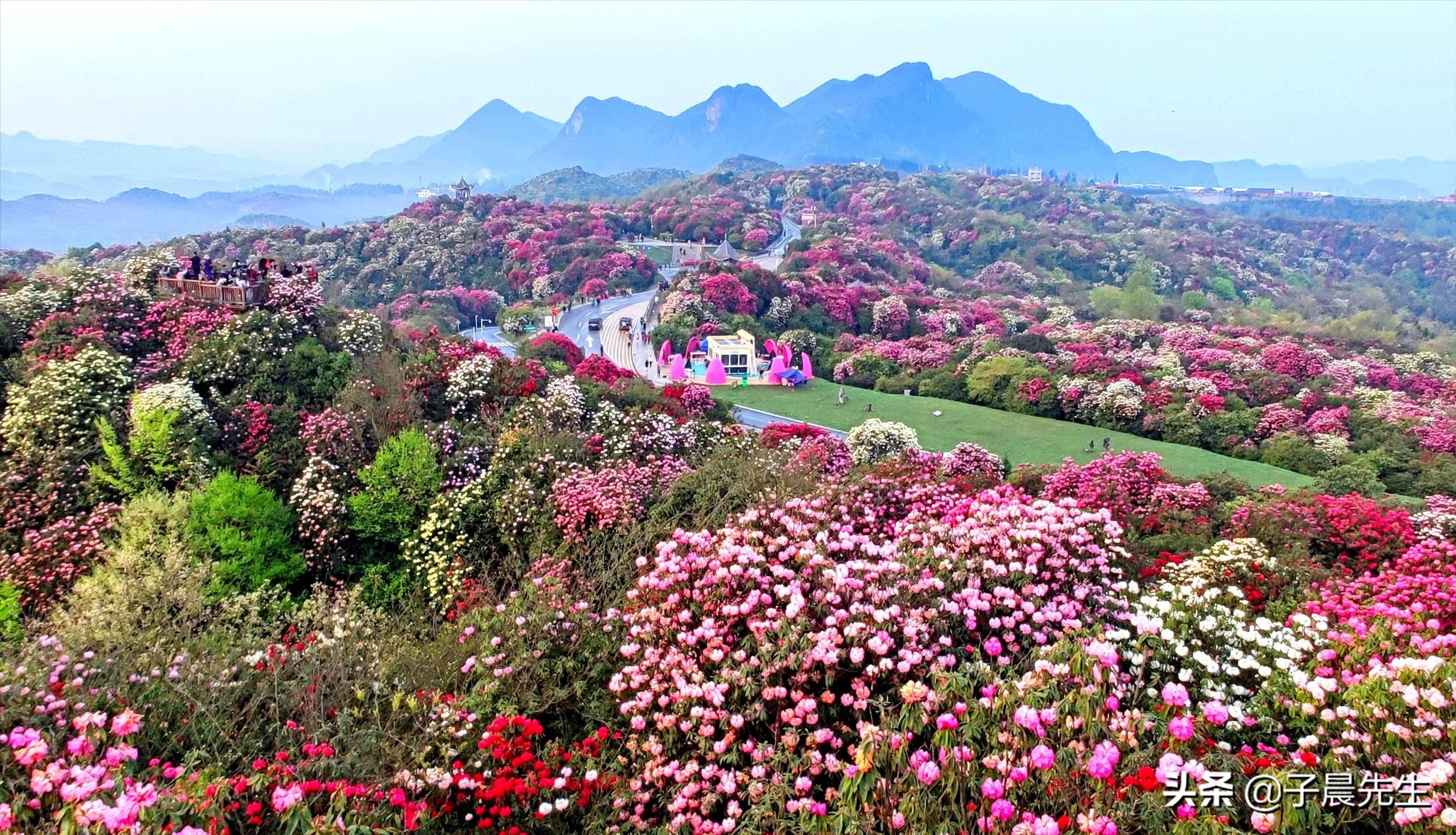 贵州有什么好玩的地方景点推荐去贵州旅游多少钱（贵州有什么好玩的）(图11)