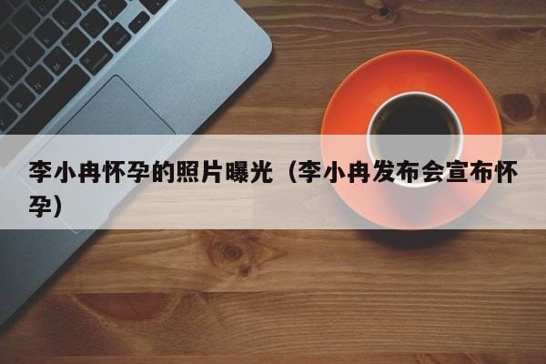 李小冉怀孕的照片曝光(李小冉发布会宣布怀孕) 李小冉怀孕的照片曝光(李小冉发布会宣布怀孕)