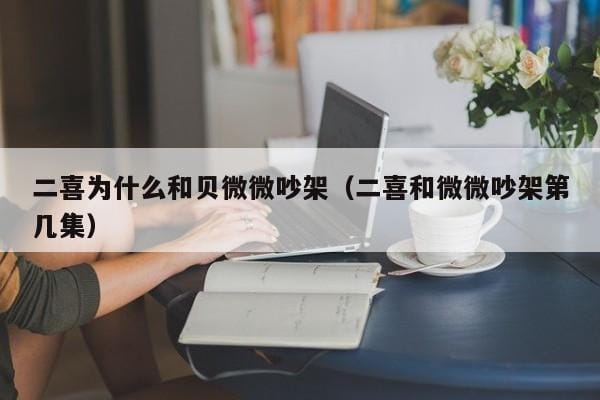 二喜为什么和贝微微吵架(二喜和微微吵架第几集) 二喜为什么和贝微微吵架(二喜和微微吵架第几集)