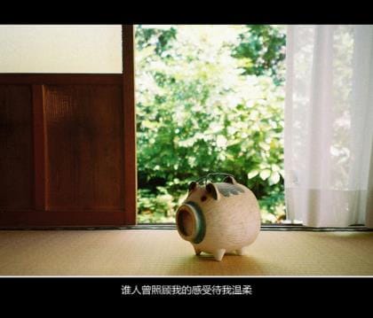 关于菊花的唯美句子