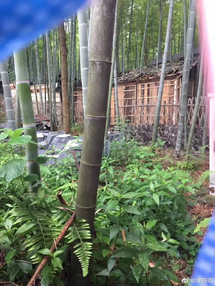 张艺谋在大宅门里演谁?张艺谋在咸宁拍的电(大宅门里陈凯歌张艺谋演谁) 张艺谋在大宅门里演谁?张艺谋在咸宁拍的电(大宅门里陈凯歌张艺谋演谁)