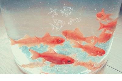 莫泊桑经典名言出处