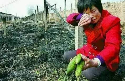 放孔明灯有什么讲究吗?孔明灯在哪里放最安全 本文共(1134字) 放孔明灯有什么讲究吗?孔明灯在哪里放最安全 本文共(1134字)