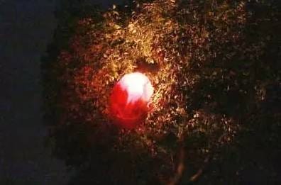 放孔明灯有什么讲究吗?孔明灯在哪里放最安全 本文共(1134字) 放孔明灯有什么讲究吗?孔明灯在哪里放最安全 本文共(1134字)