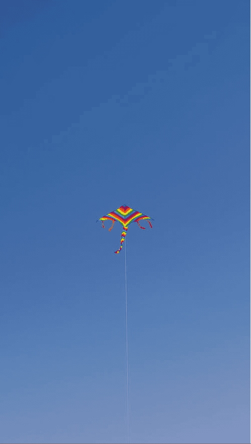 放风筝有什么技巧怎样让风筝飞得更高（怎么放风筝才能起飞得更高）(图3)