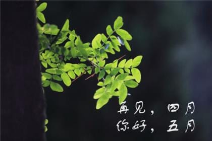 母亲节祝福语20字