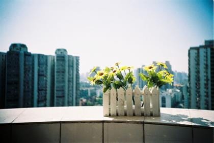 学校妇女节祝福短信