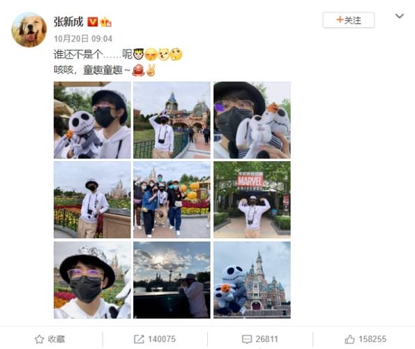 张新成现任女友,张新成卸妆后的照(张新成的前女友) 张新成现任女友,张新成卸妆后的照(张新成的前女友)