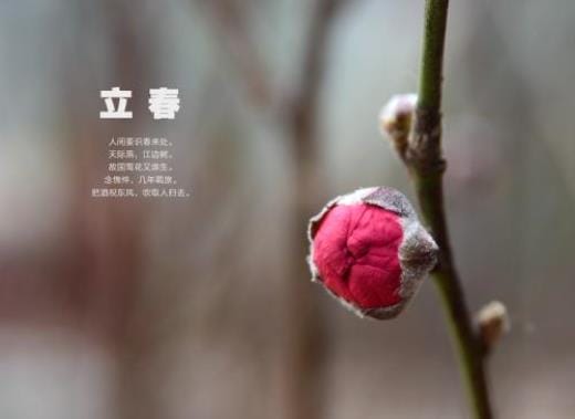 母亲节祝福语简短8字