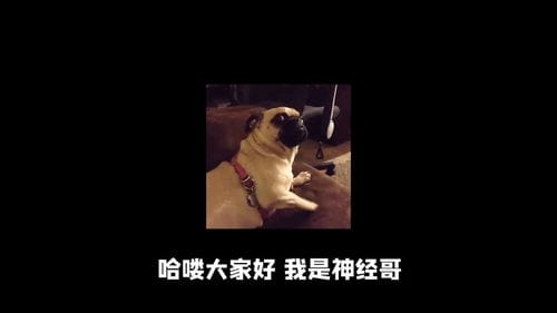 抖音游戏吸油记bug(抖音游戏吸油记礼包码)