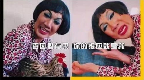 百因必有果你的报应就是我真实含义来了!原 百因必有果你的报应就是我真实含义来了!原